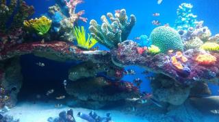 Oceanarium Międzyzdroje